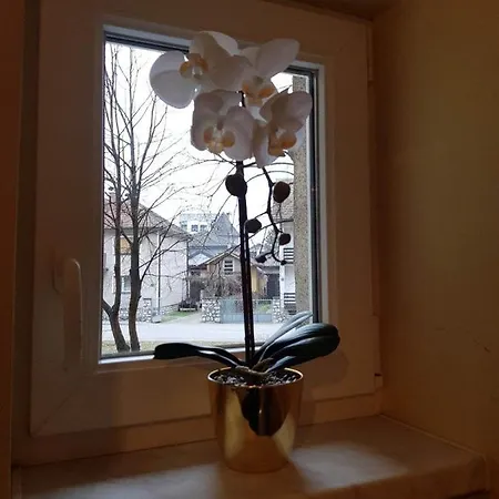 아파트 Fine Rest- Spacious & Cozy *