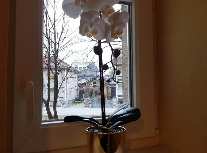 Appartement Fine Rest *